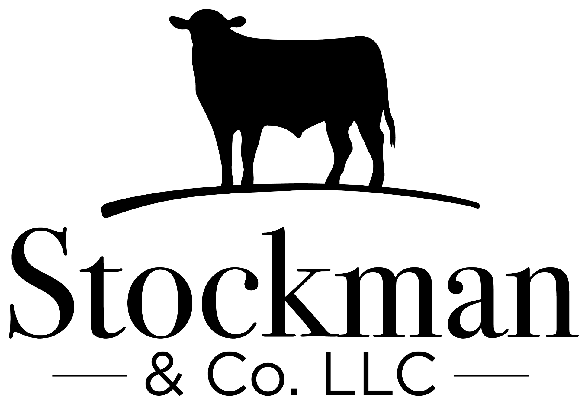 Stockman & Co LLC